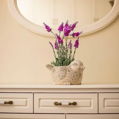Casa De Raphael - Luxury Apartament
